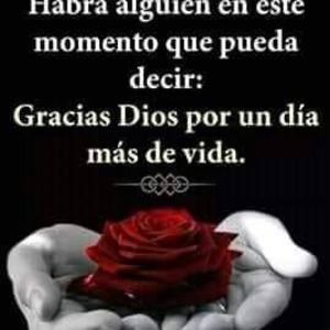 Meet your Posher, Yaco